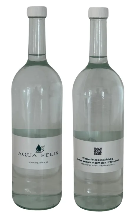 Glasflaschen 1.000 ml inkl. Verschluss = VPE 32 Stk.